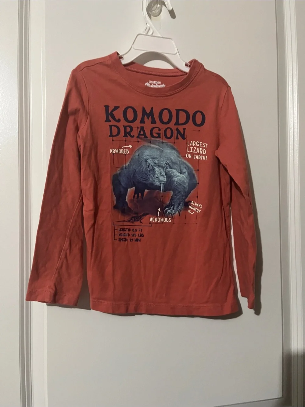 OshKosh B'gosh Boys Komodo Dragon Graphic Long Sleeve Tee - Rust Orange
